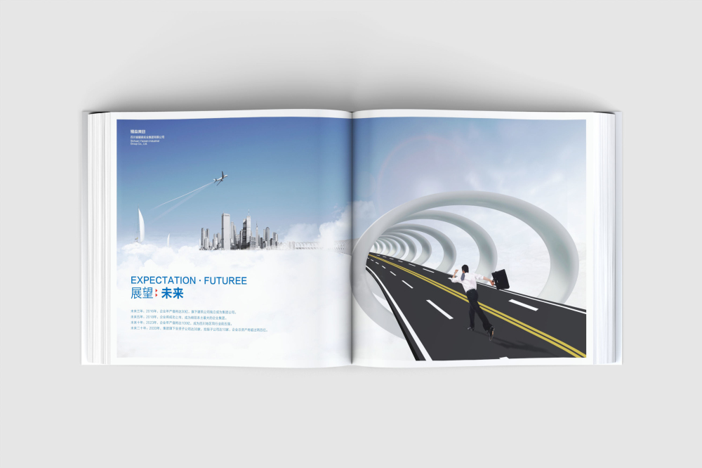 大石桥市画册设计